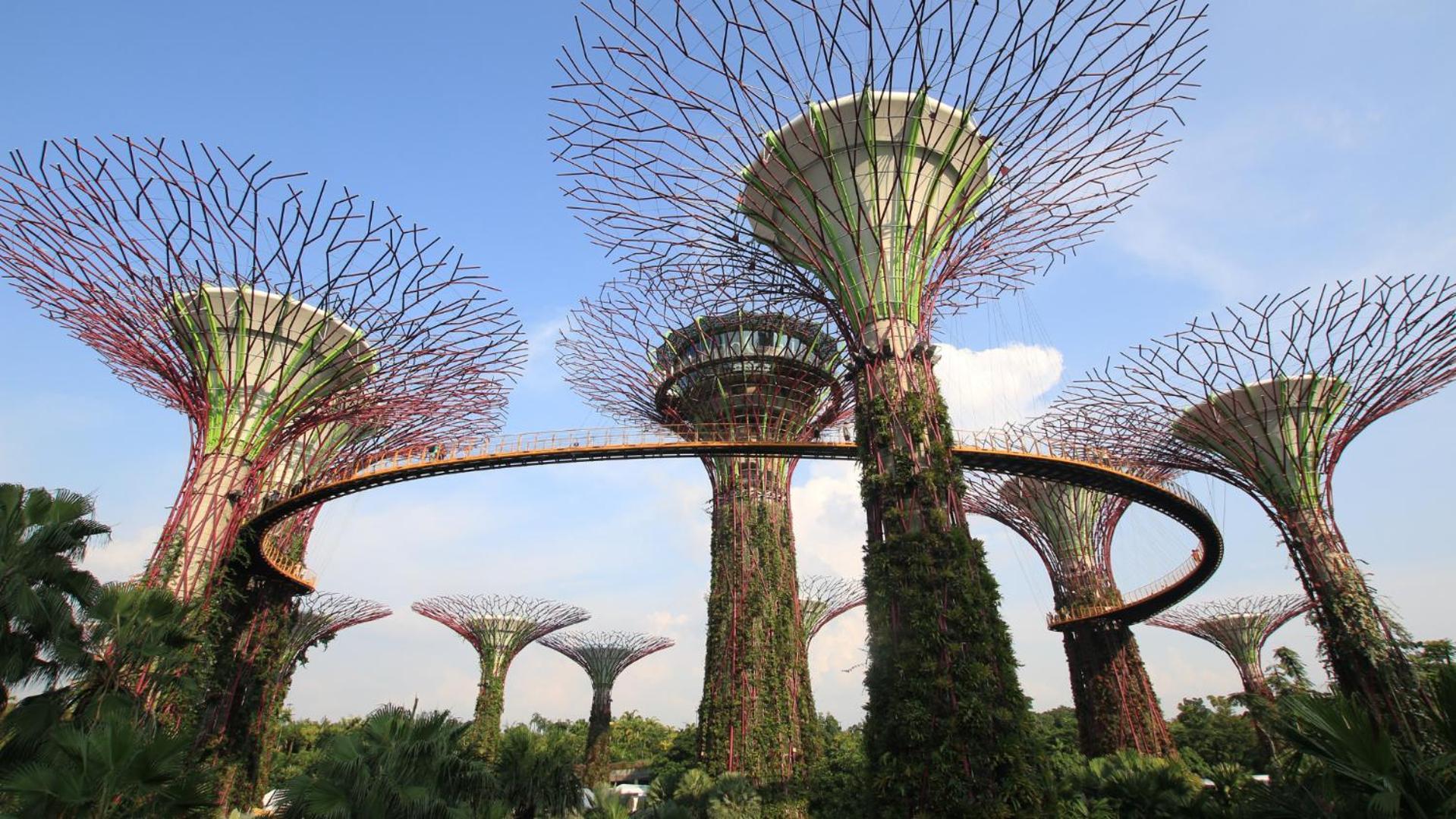 Royal Plaza On Scotts Hotel Singapore Exterior photo The Supertree Grove